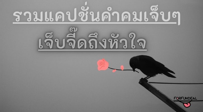 รวมคําคมโดนๆ: เติมแรงบันดาลใจในชีวิตด้วยคำคมเข้มแห่งปัญญาไทย -  Lethanhton.Edu.Vn