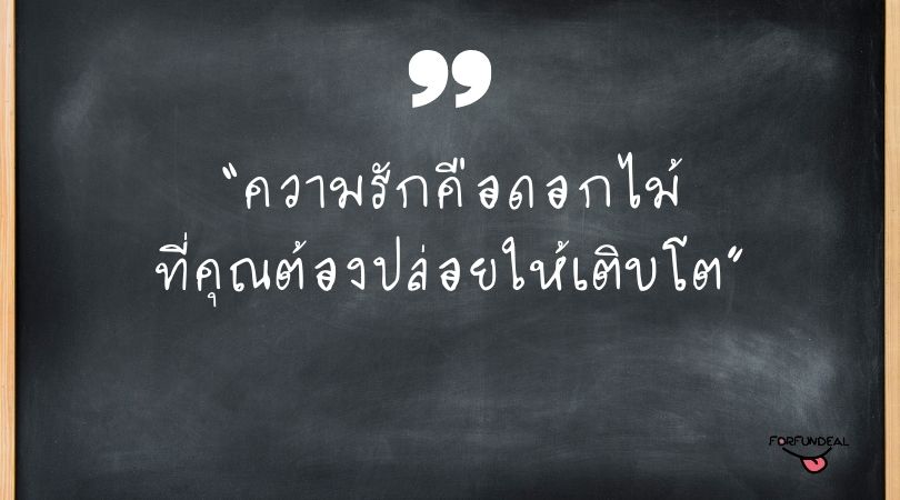 ข้อคิดคำมดอกไม้กับความรัก