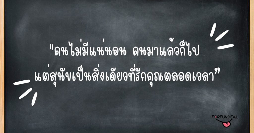 แคปชั่นคำคมรักหมา