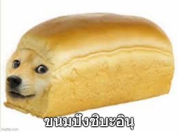 มีมหมา-ขนมปังชิบะ