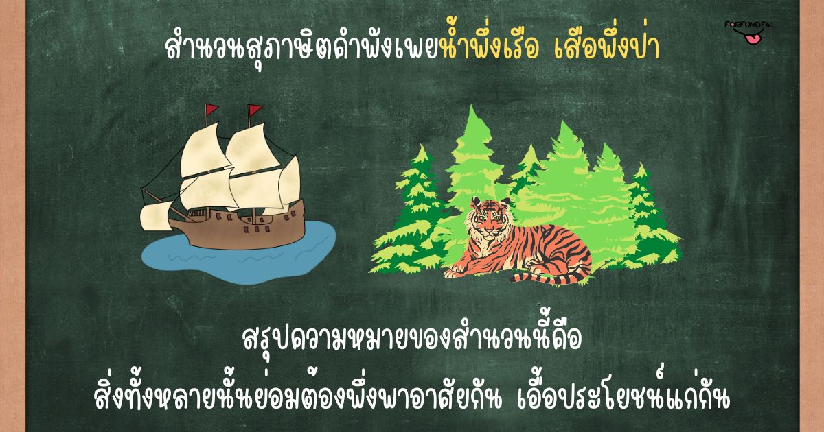 รูปความหมายของสุภาษิตคำพังเพยน้ำพึ่งเรือ เสือพึ่งป่า