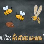 นิทานอีสปผึ้ง ตัวต่อ และแตน ไทย-Eng
